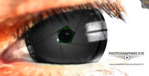 Videohive Photographers Eye Logo Logo Stings template preview