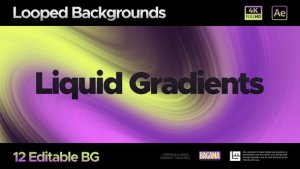 Videohive Seamless Liquid Backgrounds Elements template preview