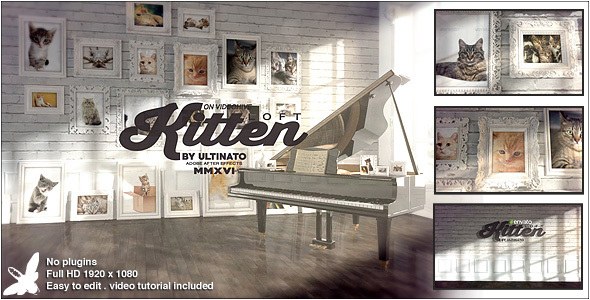Videohive Kitten Loft Video Displays template preview