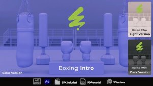 Videohive Boxing Intro Logo Stings template preview