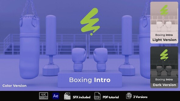 Videohive Boxing Intro Logo Stings template preview
