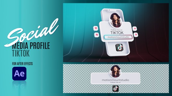 Videohive Social Media Profile - TikTok Elements template preview