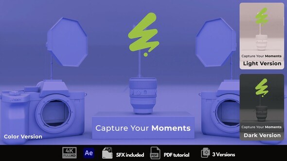 Videohive Photographer Logo 53843432 Logo Stings template preview