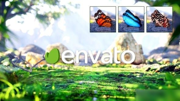 Videohive Nature Logo Reveal 43185060 Logo Stings template preview