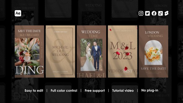 Videohive Wedding Instagram Stories 46735639 Product Promo template preview