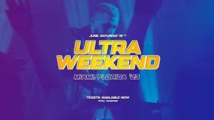Videohive Music Festival Promo 44274881 Openers template preview