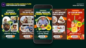 Videohive Organic Food Instagram Stories Video Displays template preview