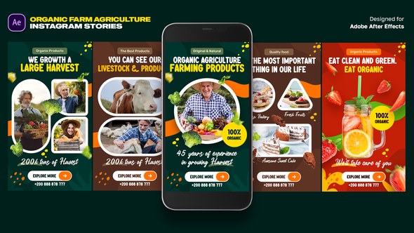 Videohive Organic Food Instagram Stories Video Displays template preview