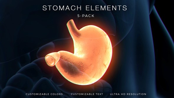 Videohive Stomach Elements Elements template preview