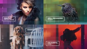 Colourful Slideshow Video Displays template preview