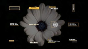 Videohive Minimal Titles 4.0 | AE Titles template preview