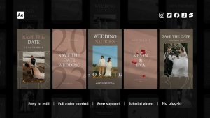 Videohive Romantic Wedding Instagram Reels 46735827 Product Promo template preview