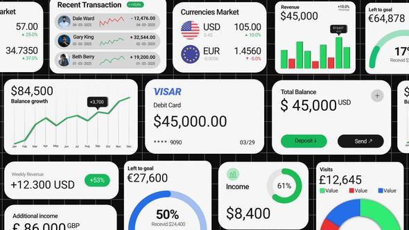 Videohive Accounts & Finances UI Pack Infographics template preview
