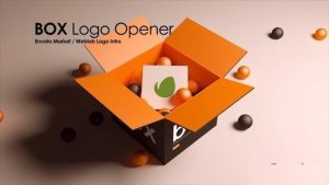 Videohive Box Product Logo Logo Stings template preview
