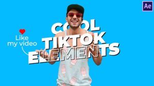 Videohive Cool TikTok Elements Elements template preview