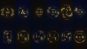 Videohive Gold Wedding Monogram Titles template preview