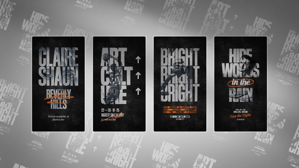 Videohive Instagram Story Poster Product Promo template preview