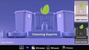 Videohive Cleaning Experts Logo Stings template preview