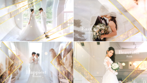 Videohive Elegant Particle Wedding Slideshow Video Displays template preview