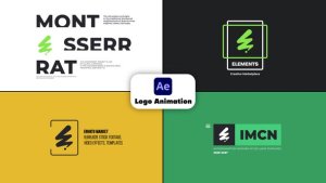 Videohive Logo Animation 60118382 Logo Stings template preview
