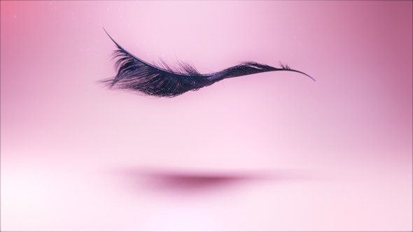 Videohive Eyelash Logo Ident Logo Stings template preview