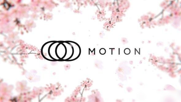 Videohive Sakura Blossom Logo Reveal Logo Stings template preview