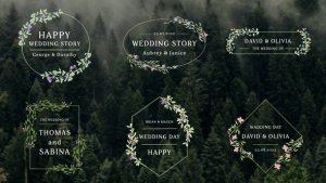 Videohive Romantic Titles 57540262 Titles template preview