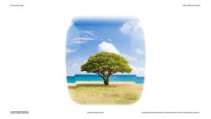 Videohive Cinematic Logo - Photo Logo Animation Logo Stings template preview