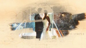 Videohive Wedding/Romantic Ink & Brush Story Video Displays template preview