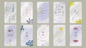Videohive Wedding Invitation Tik Tok | Stories Elements template preview