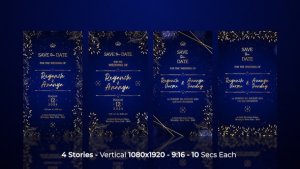 Videohive Wedding Instagram Stories 53330820 Openers template preview