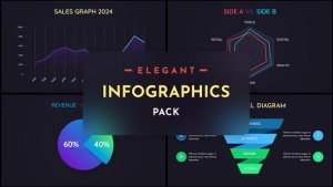 Videohive Elegant Infographics Vol.1 Infographics template preview