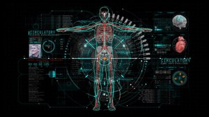Videohive HUD Info Medical 4 Elements template preview
