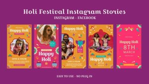 Videohive Holi Festival Instagram Stories 56792061 Video Displays template preview