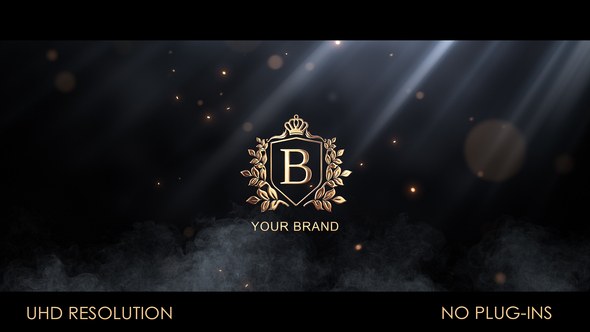 Videohive Particle Flow Logo Reveal Logo Stings template preview
