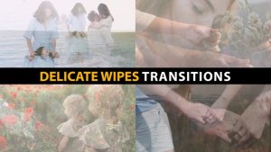Videohive Delicate Wipes Transitions | After Effects Elements template preview