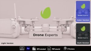 Videohive Drone Intro Logo Stings template preview