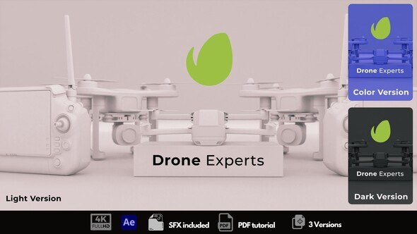 Videohive Drone Intro Logo Stings template preview