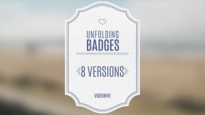 Wedding Badges Video Displays template preview
