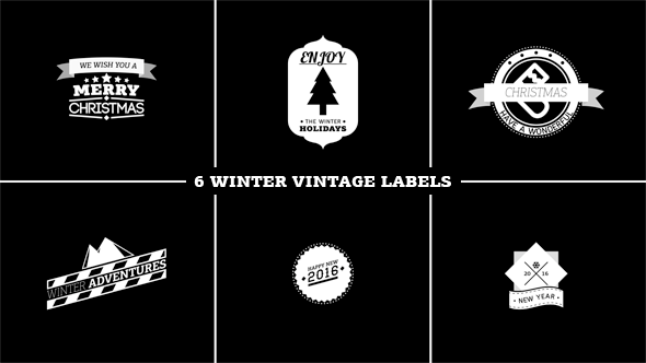 Videohive Winter Vintage Labels Elements template preview