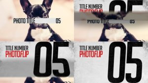 Videohive PhotoFLIP Slideshow Video Displays template preview