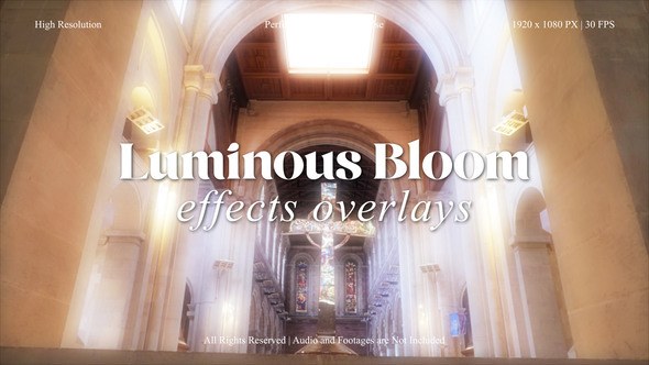 Videohive Luminous Bloom FX Overlays Pack for After Effects Elements template preview