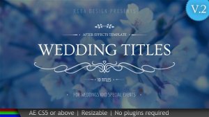 Wedding Titles Video Displays template preview