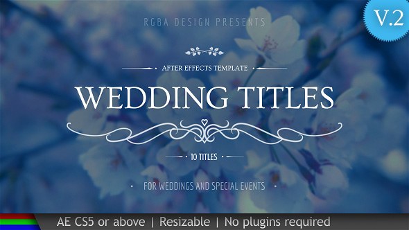 Wedding Titles Video Displays template preview