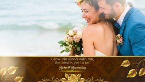 Videohive Beauty Wedding Slideshow Video Displays template preview