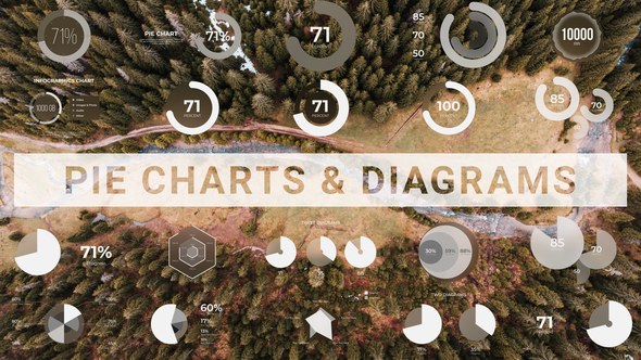 Videohive Infographics 54058628 Infographics template preview