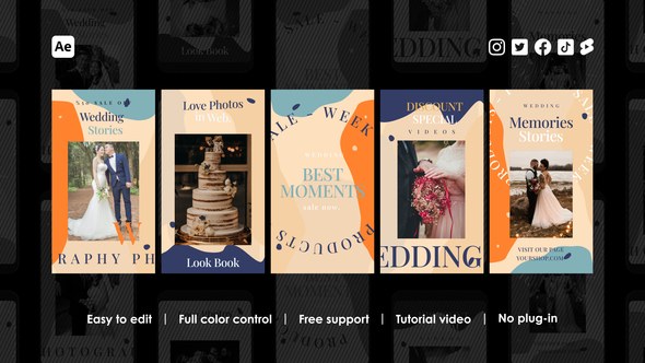 Videohive Wedding Instagram Stories 48442053 Product Promo template preview