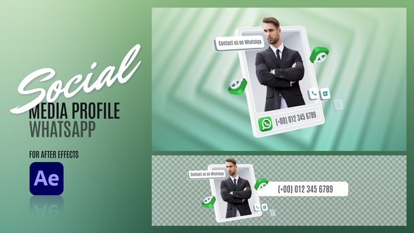 Videohive Social Media Profile - WhatsApp 48110479 Elements template preview