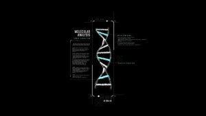 Videohive HUD Molecular DNA Infographics template preview