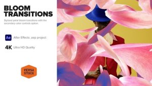 Videohive Bloom Transitions Elements template preview